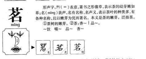 茗字五行|茗字五行属什么